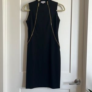 Calvin Klein Sheath Zipper Dress